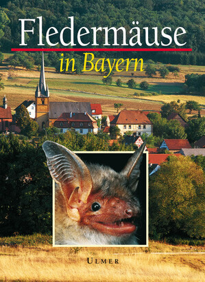 Fledermuse in Bayern