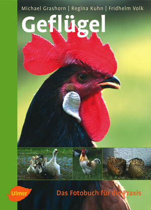 Geflgel