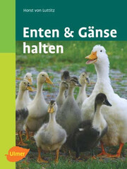Enten und Gnse halten