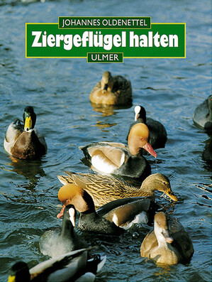 Ziergefl�gel halten