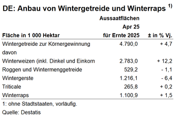 Leichter Anstieg der Getreideanbaufläche