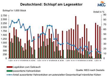 Immer weniger Bruderhähne schlüpfen.