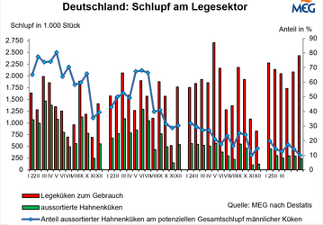 Die Zahl der geschlpften Legekken zum Gebrauch im ersten Halbjahr 2025 liegt leicht ber dem Vorjahresniveau.